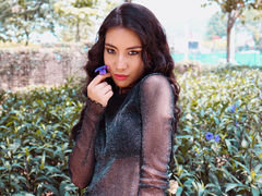 RachelMartinez - female with brown hair webcam at LiveJasmin