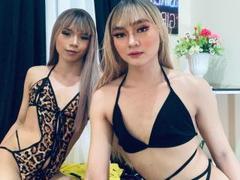 AsianMajesticDuo - shemale webcam at xLoveCam