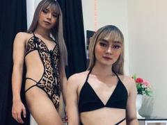 AsianMajesticDuo - shemale webcam at xLoveCam