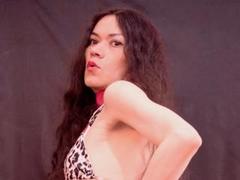 ShanyFerrati - shemale with brown hair and  small tits webcam at xLoveCam