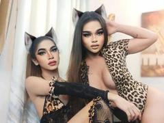 TwoLoadedQueens - shemale with black hair and  small tits webcam at xLoveCam