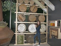 Gasminka - female with brown hair webcam at ImLive