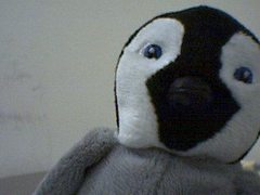 gizmoadult1 from ImLive