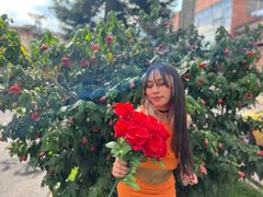 KathyJoyce - female with brown hair and  small tits webcam at ImLive