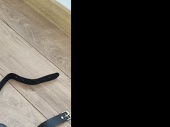 MayaTrainorX - blond female with  big tits webcam at ImLive