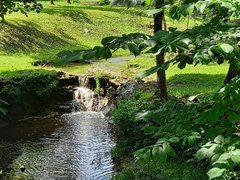 ValentinesAngel from ImLive