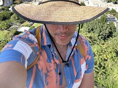 DominicWall - male webcam at LiveJasmin