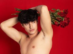 DrakeCollinss - male webcam at LiveJasmin
