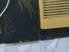 LuzvimindaMaria - shemale with black hair webcam at LiveJasmin