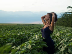 MichelleHunt - female with brown hair and  big tits webcam at LiveJasmin