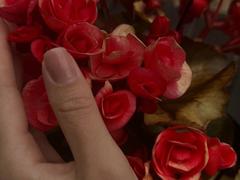 Isaya - female with brown hair webcam at xLoveCam