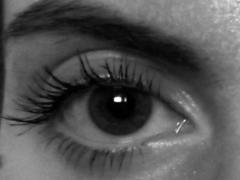 AvaNikol - female webcam at xLoveCam