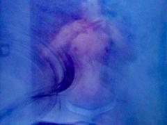 BeMia - female with brown hair webcam at xLoveCam