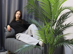 LinaLanes - female with brown hair and  small tits webcam at LiveJasmin