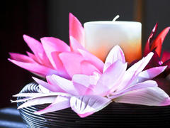 Coco25-hot - female with brown hair webcam at xLoveCam