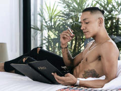 NicolasFrey - male webcam at LiveJasmin