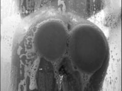 DeliciousAlba - blond female with  big tits webcam at xLoveCam