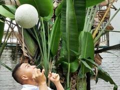 EvanDraco - male webcam at LiveJasmin