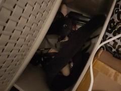 Lynne69 - female with brown hair webcam at xLoveCam