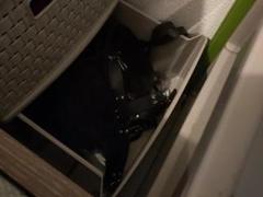 Lynne69 - female with brown hair webcam at xLoveCam