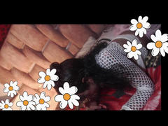 GoddesHilary from xLoveCam