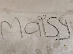 MaisyWarner - female with black hair and  small tits webcam at ImLive