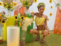 Orianadollx - shemale webcam at ImLive