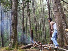 YeremyWalker - male webcam at xLoveCam